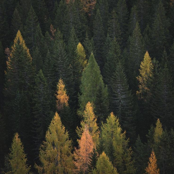 Low-impact nature route
