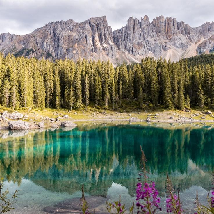 National parks landscape